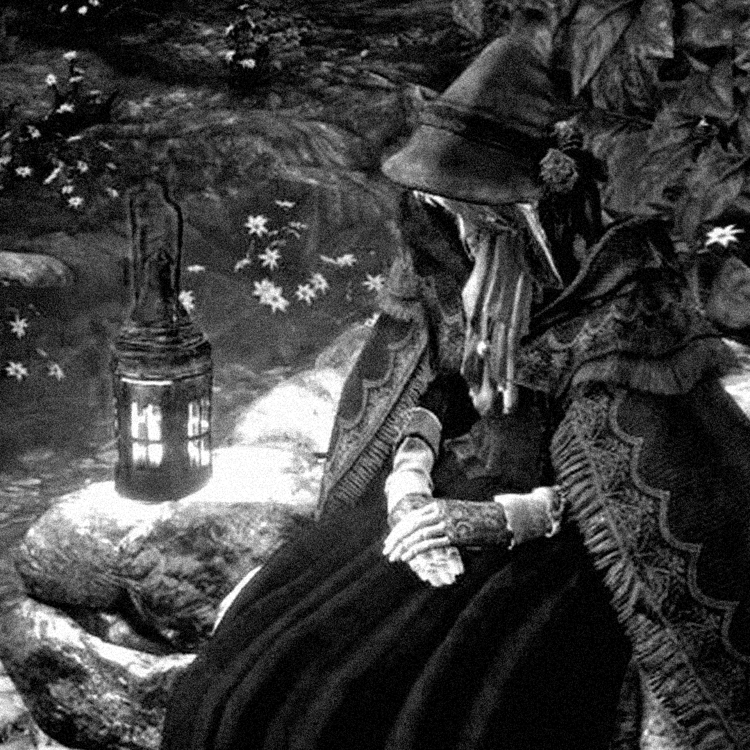 image/gif of the day